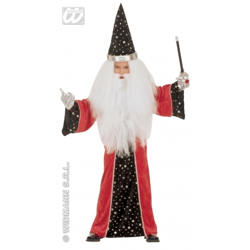 Carnevale costume vestito mago - carnevale,