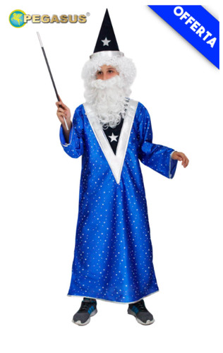 Costume carnevale mago merlino - carnevale,